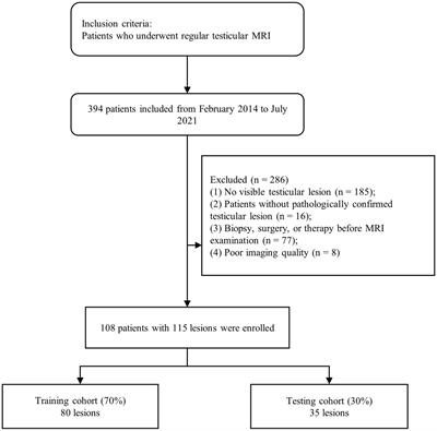 Comparison and analysis of multiple machine learning models for discriminating benign and malignant testicular lesions based on magnetic resonance imaging radiomics